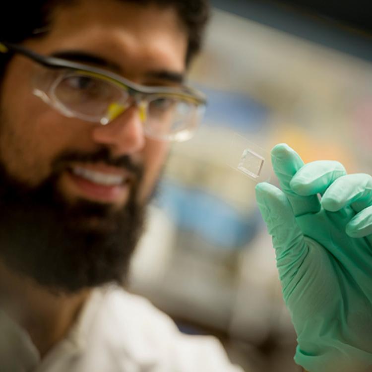 UC San Diego Today: "Schmidt Futures Announces UC San Diego as Partner of $148M Initiative Accelerating AI Use in Science" (2022)