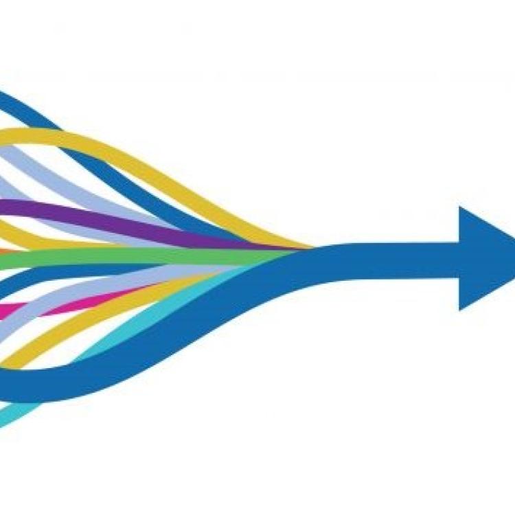 Enabling AI Innovation via Data and Model Sharing: An Overview of the NSF Convergence Accelerator Track D