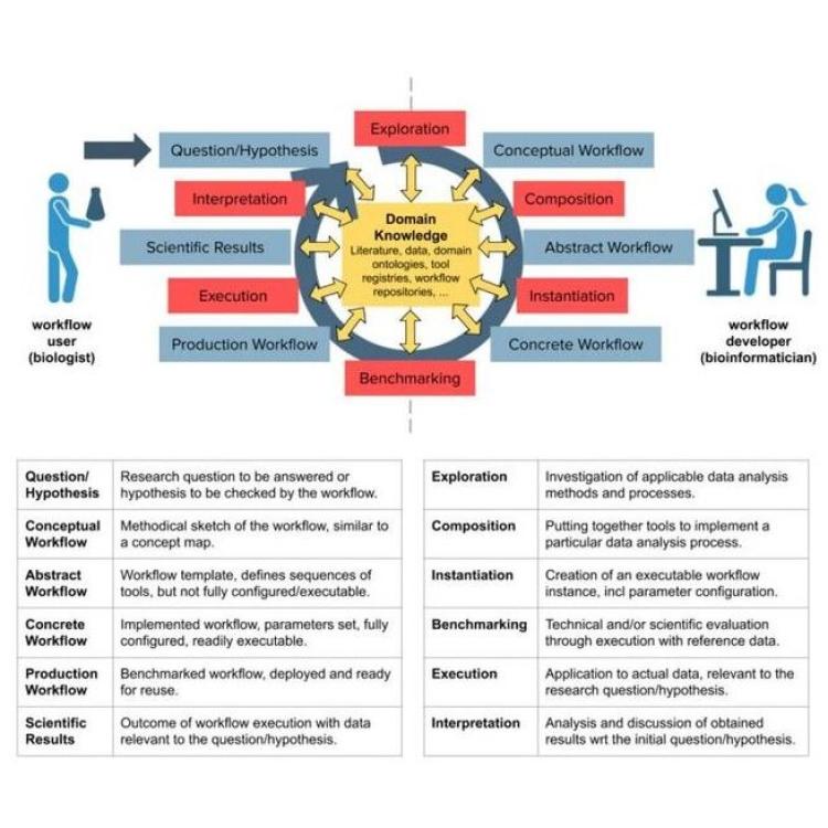 Perspectives on Automated Composition of Workflows in the Life Sciences