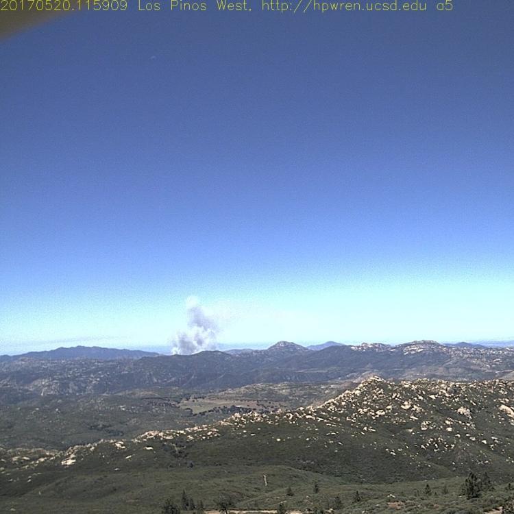 Automated Early Detection of Wildfire Smoke Using Deep Learning with Combined Spatial-Temporal Information