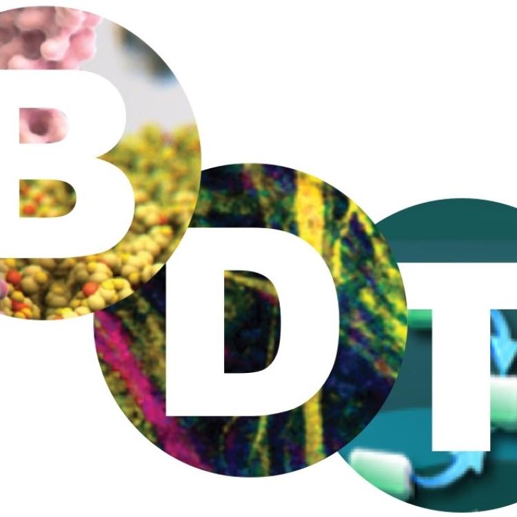 BBDTC